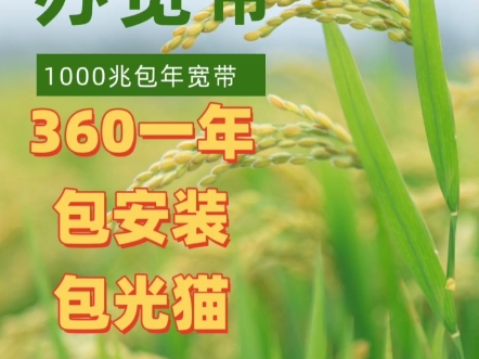 在南京办一条1000兆包年宽带只要360一年哔哩哔哩bilibili