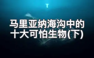 Tải video: 马里亚纳海沟深处，究竟隐藏着哪些奇特可怕的生物？