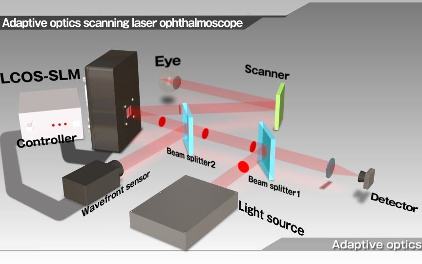 LCOSSLM (Optical Phase Modulator) Adaptive optics哔哩哔哩bilibili