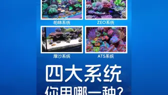 海缸4大过滤系统你用哪一种？