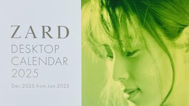30周年記念ライブBD &DVD『ZARD 30th Anniversary Live “What a