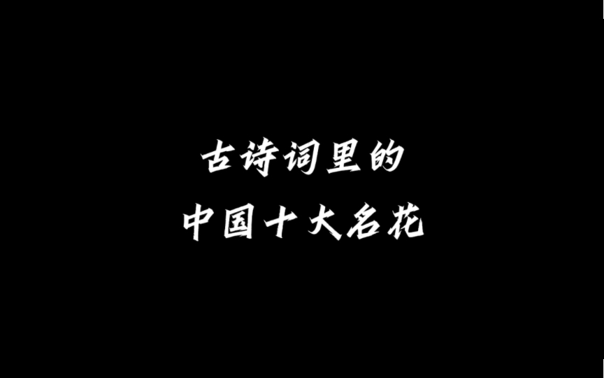 中国人独有的浪漫,古诗词里的中国十大名花,你最喜欢哪一种?哔哩哔哩bilibili