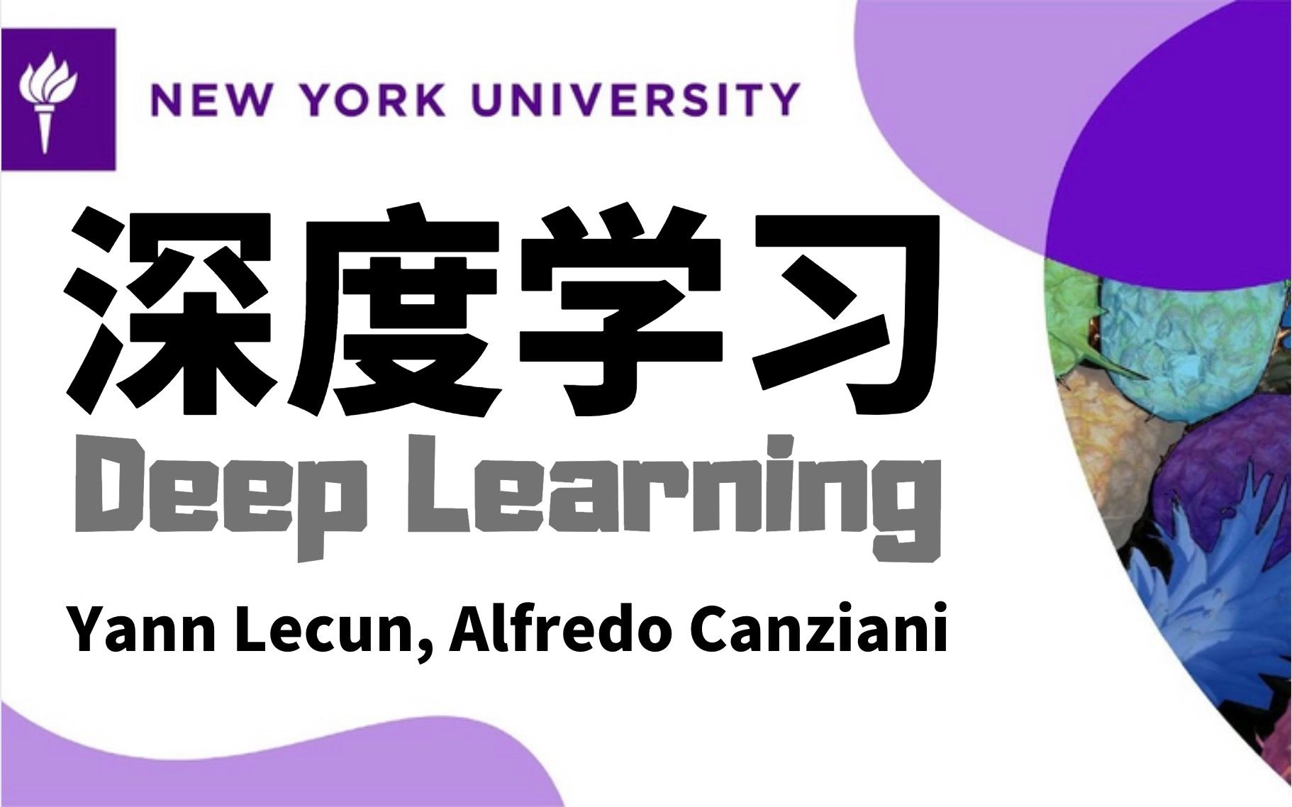 深度学习三巨头之Yann LeCun带你一起走进深度学习的世界,带你一起把深度学习的底裤”扒个精光“!简直不能在通透了!人工智能/深度学习/机器学习...