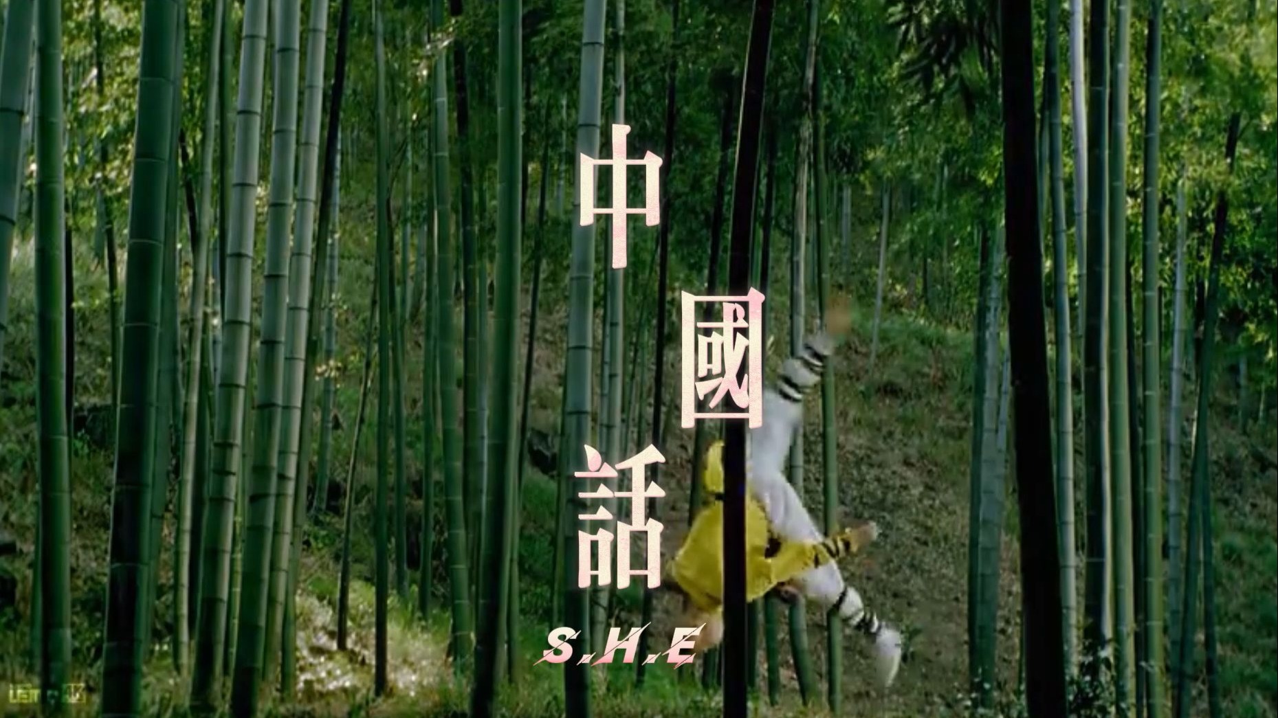 全世界都在学中国话