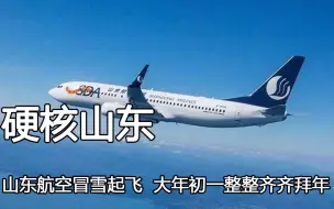 Download Video: 这就是来自山东的压迫感吗，山东航空冒雪起飞，初一整整齐齐拜年