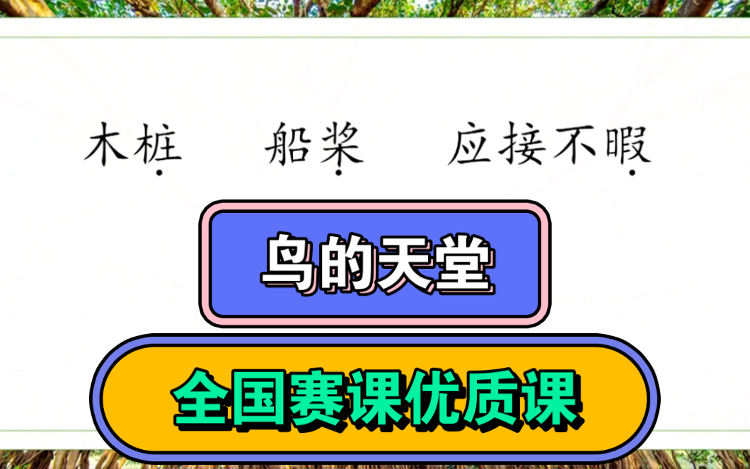 [图]22届赛课获奖优质课《鸟的天堂》胡珊珊教学实录（有课件）