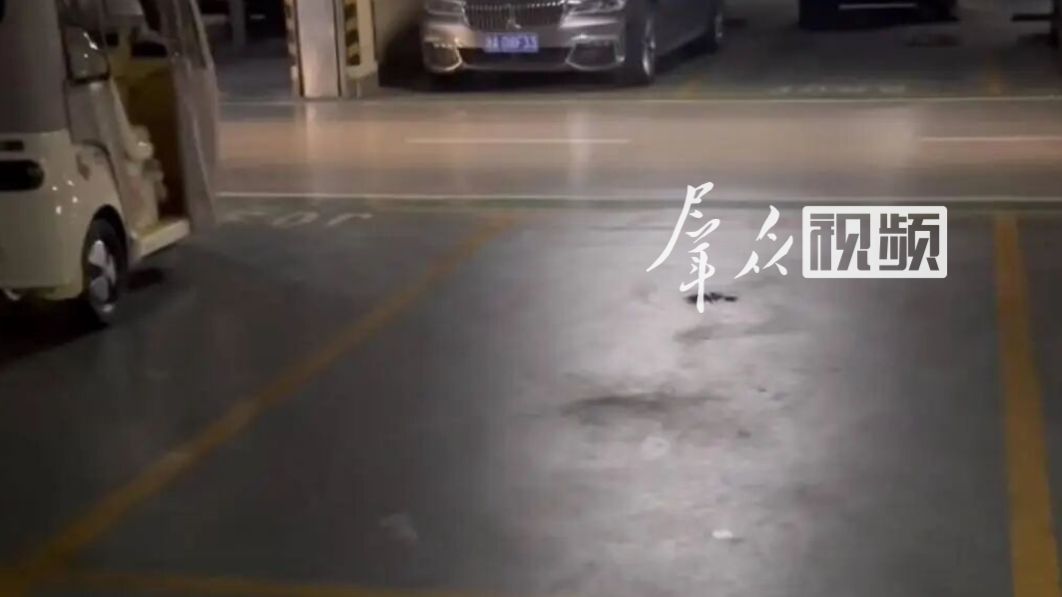 因结交女友无果而迁怒，男子蹲守俩月射杀发小致其死亡。一审被判死刑后提起上诉，该案二审将于近日开庭。