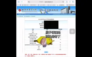 Download Video: 记一次中考查分