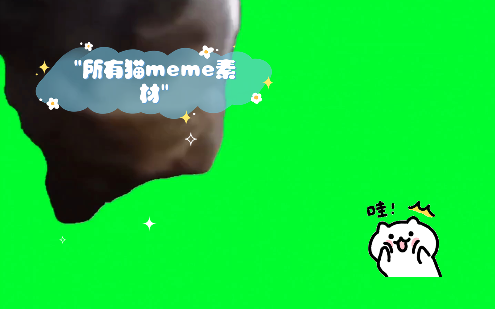 所有猫meme素材哔哩哔哩bilibili