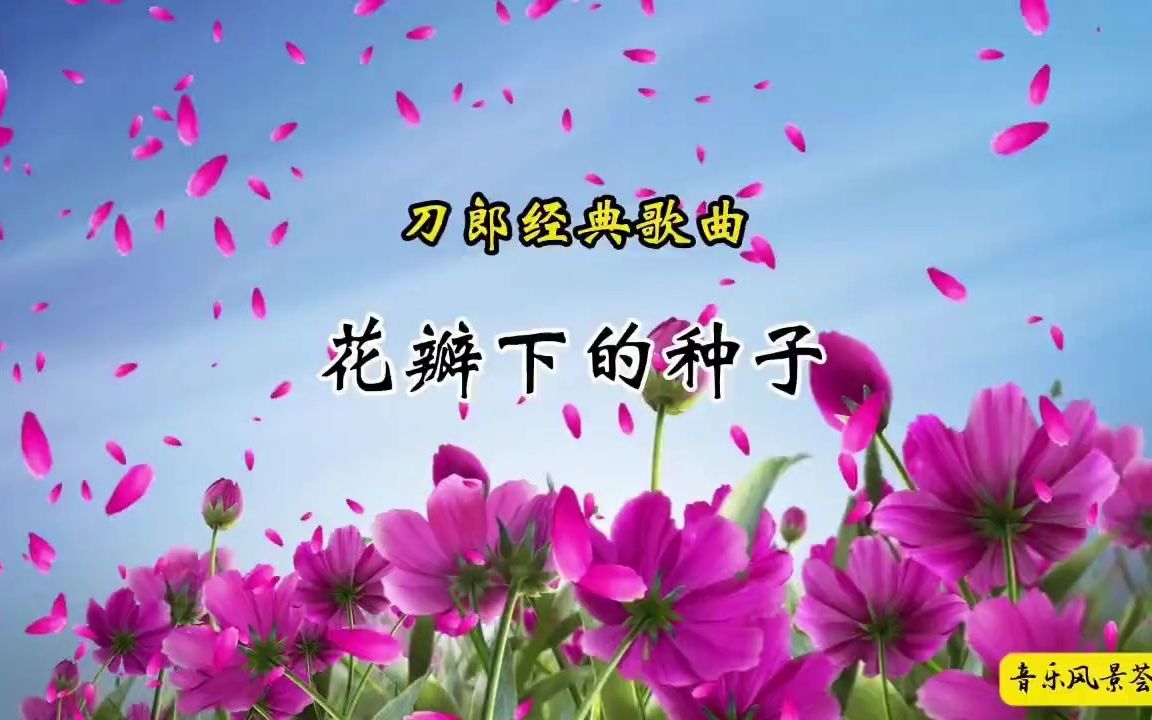 [图]刀郎《花瓣下的种子》：优美的歌词，沧桑的嗓音，好听极了！