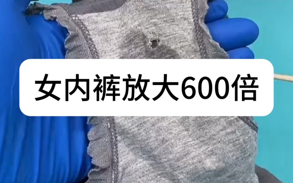 [图]女内裤放大600倍显微镜观察一下