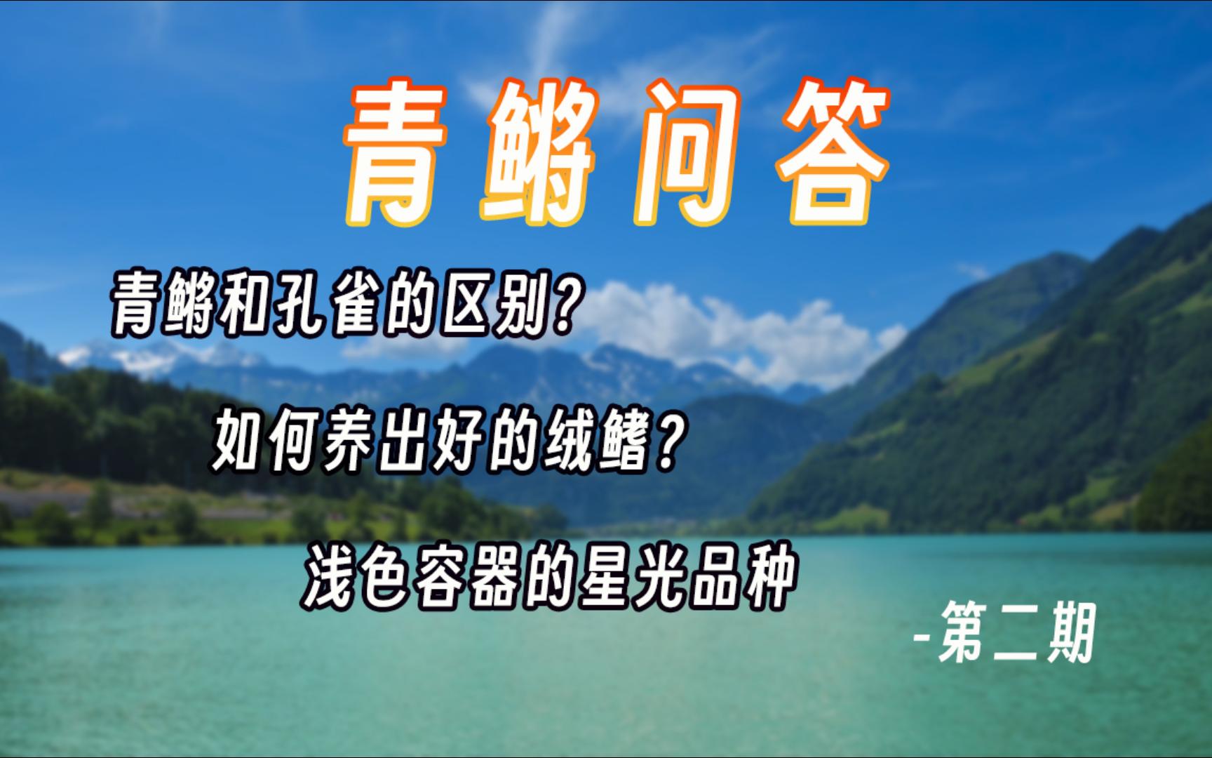 【观背青鳉】青鳉读评论第二期哔哩哔哩bilibili