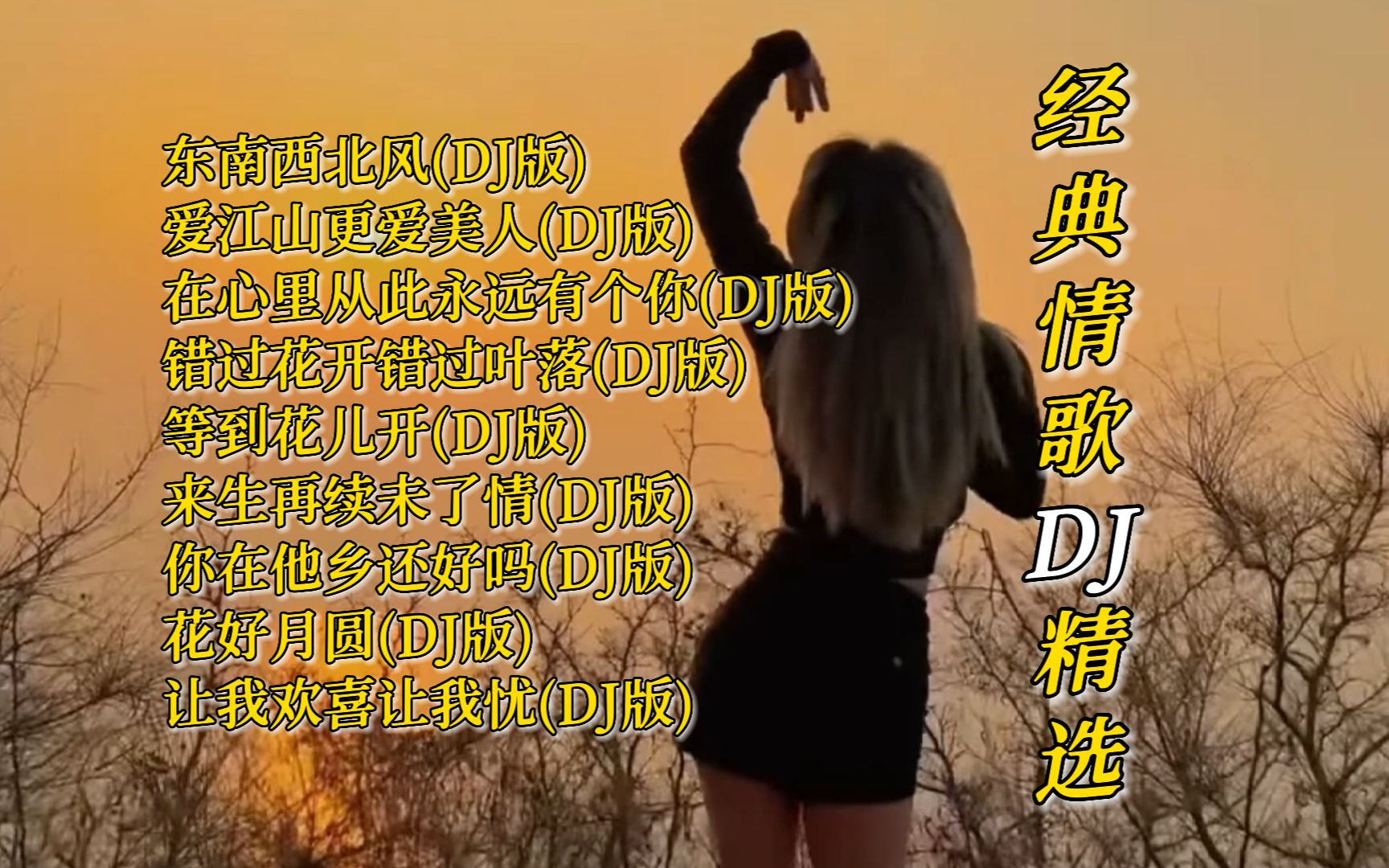 上头!老歌最怕带DJ!经典情歌老歌DJ精选9首【Lyrics/动态歌词】【KTV字幕】【高音质无损音乐】哔哩哔哩bilibili