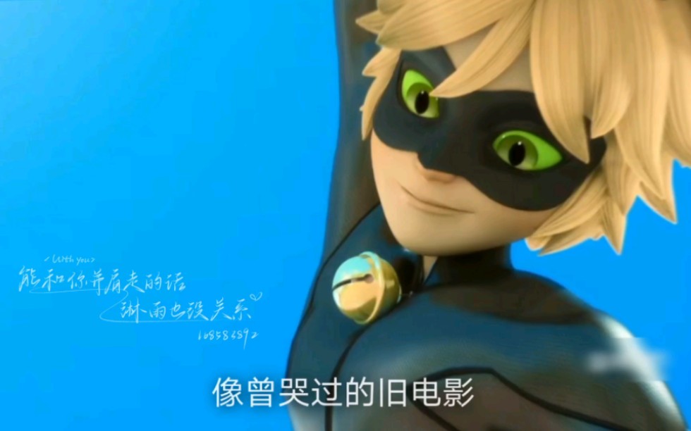 【黑猫罗尔】怪就怪天气