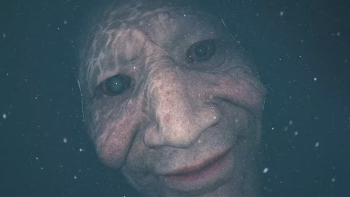 海平面之下(测试你的深海恐惧症|巨物恐惧症)