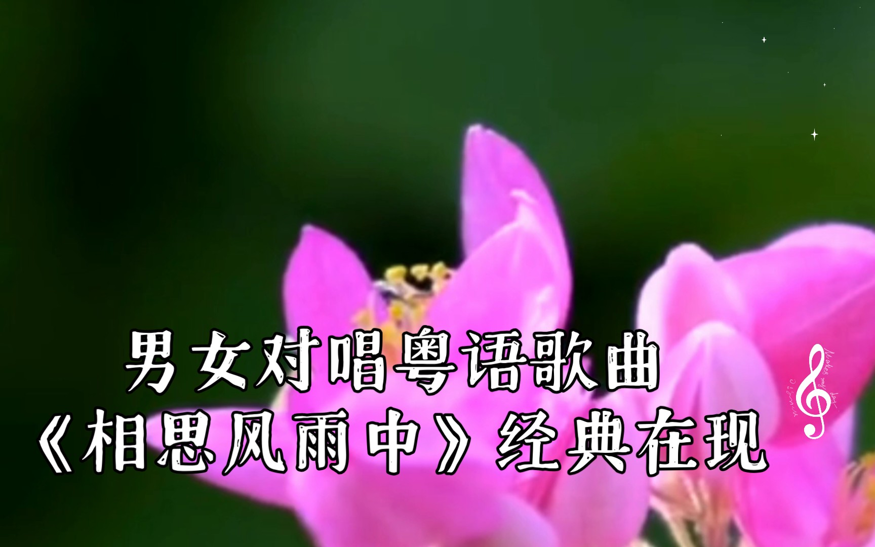 [图]男女对唱粤语歌曲《相思风雨中》经典在现，好听！