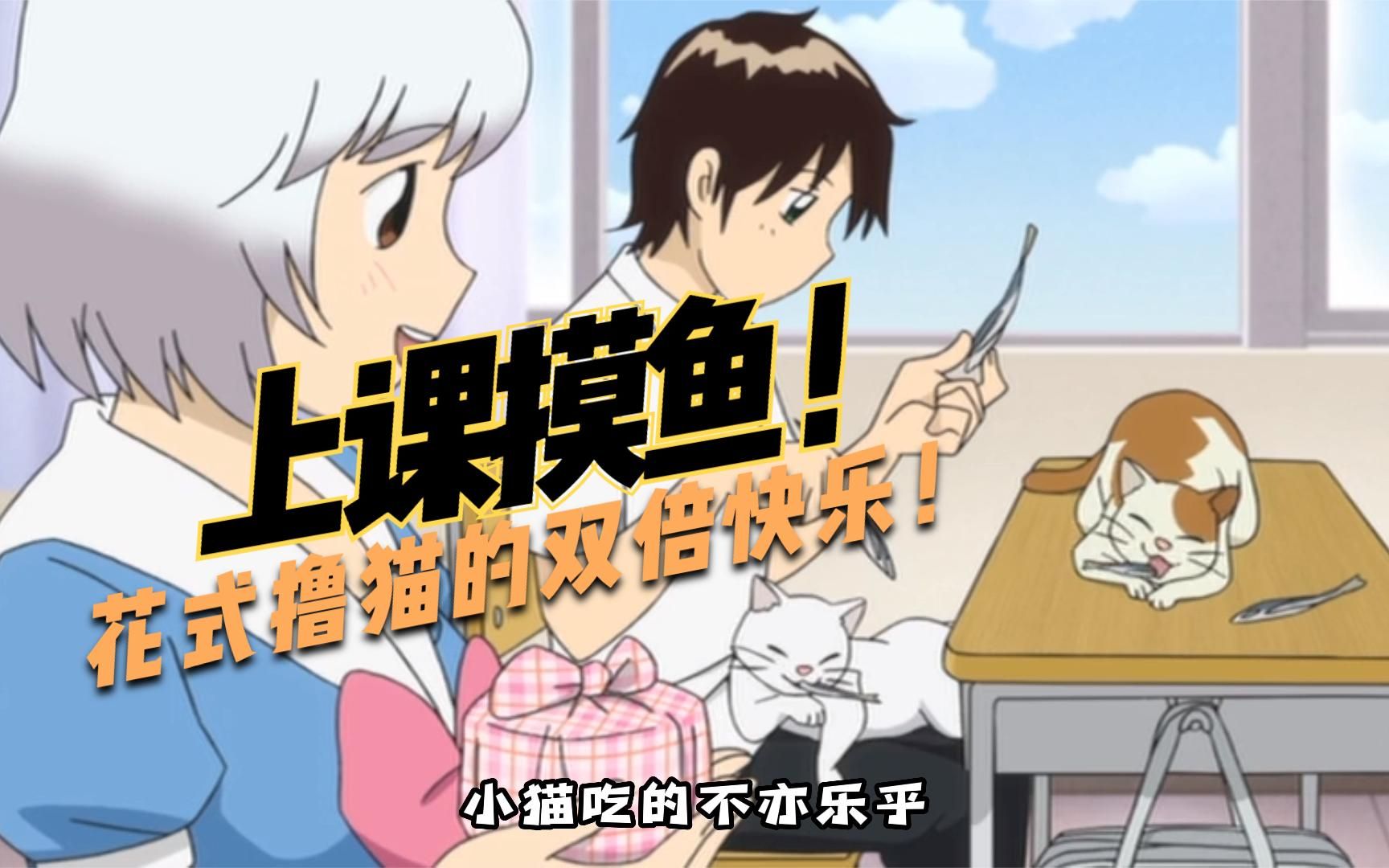 上课摸鱼 花式撸猫的双倍快乐!来自邻座的羡慕!