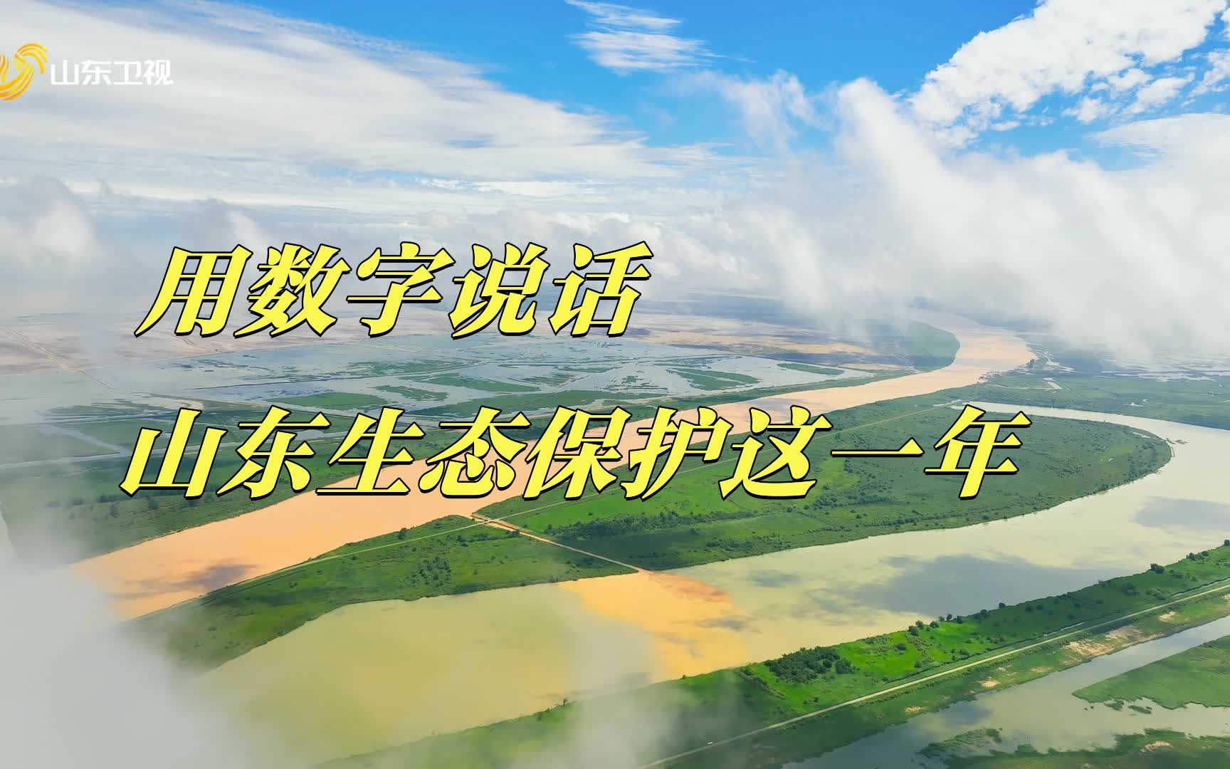 数说生态保护|从这组数字,看山东生态保护成就!2023六五环境日国家主场活动,山东卫视6月5日现场直播!哔哩哔哩bilibili