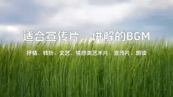 Descargar video: 【背景音乐】适合朗读宣传片讲解类的bgm，抒情 壮志 青春 感恩 文艺 清新 情感类