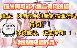 Download Video: 【跨物种相亲】使用过量猫薄荷得罚，说脏话得罚！咋罚呀？