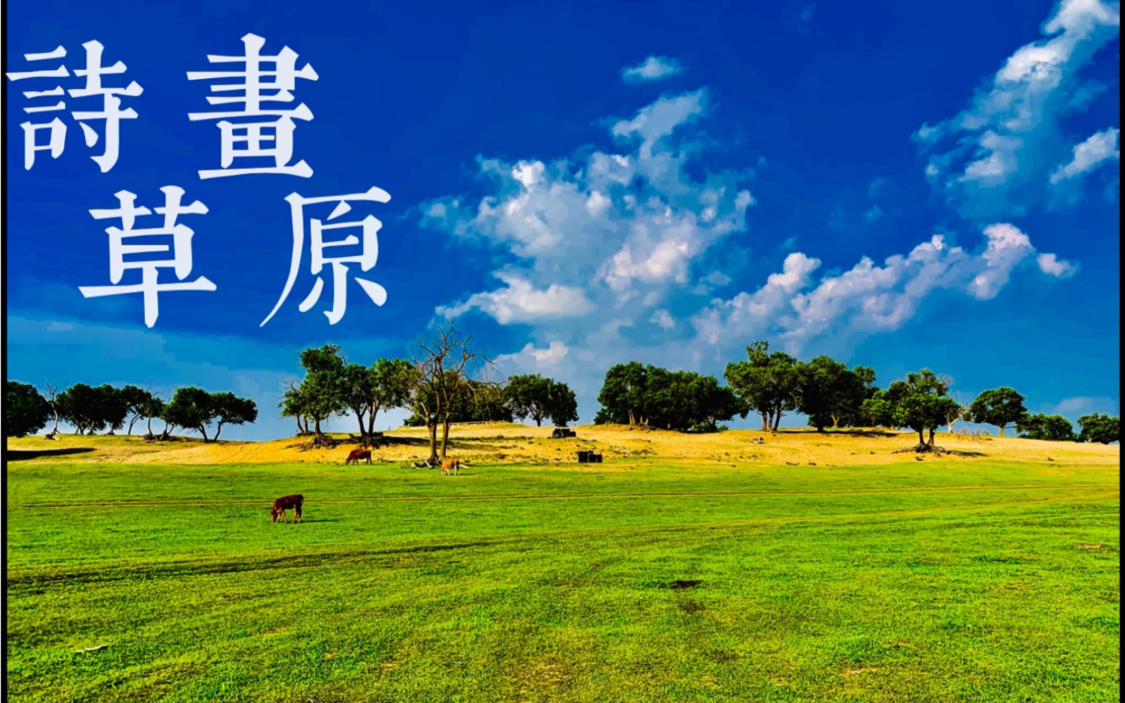 『诗画草原』致美人间/旅拍_哔哩哔哩_bilibili