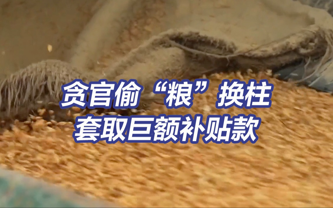 央视反腐大片丨贪官偷“粮”换柱套取国家1500万补贴款哔哩哔哩bilibili