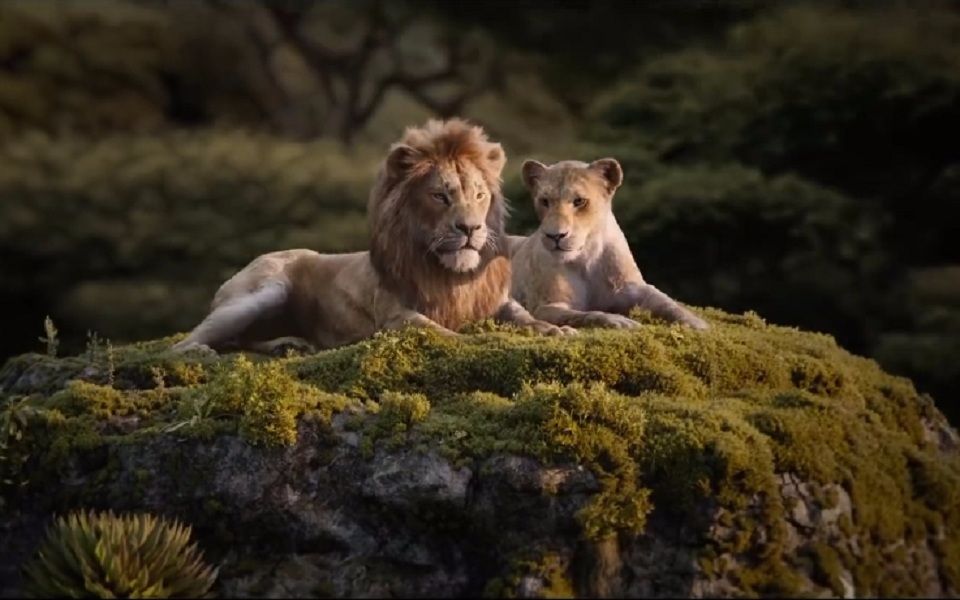 2019电影《狮子王 The Lion King》1080P+高清音乐MV实力呈现,狮子王真人版哔哩哔哩bilibili