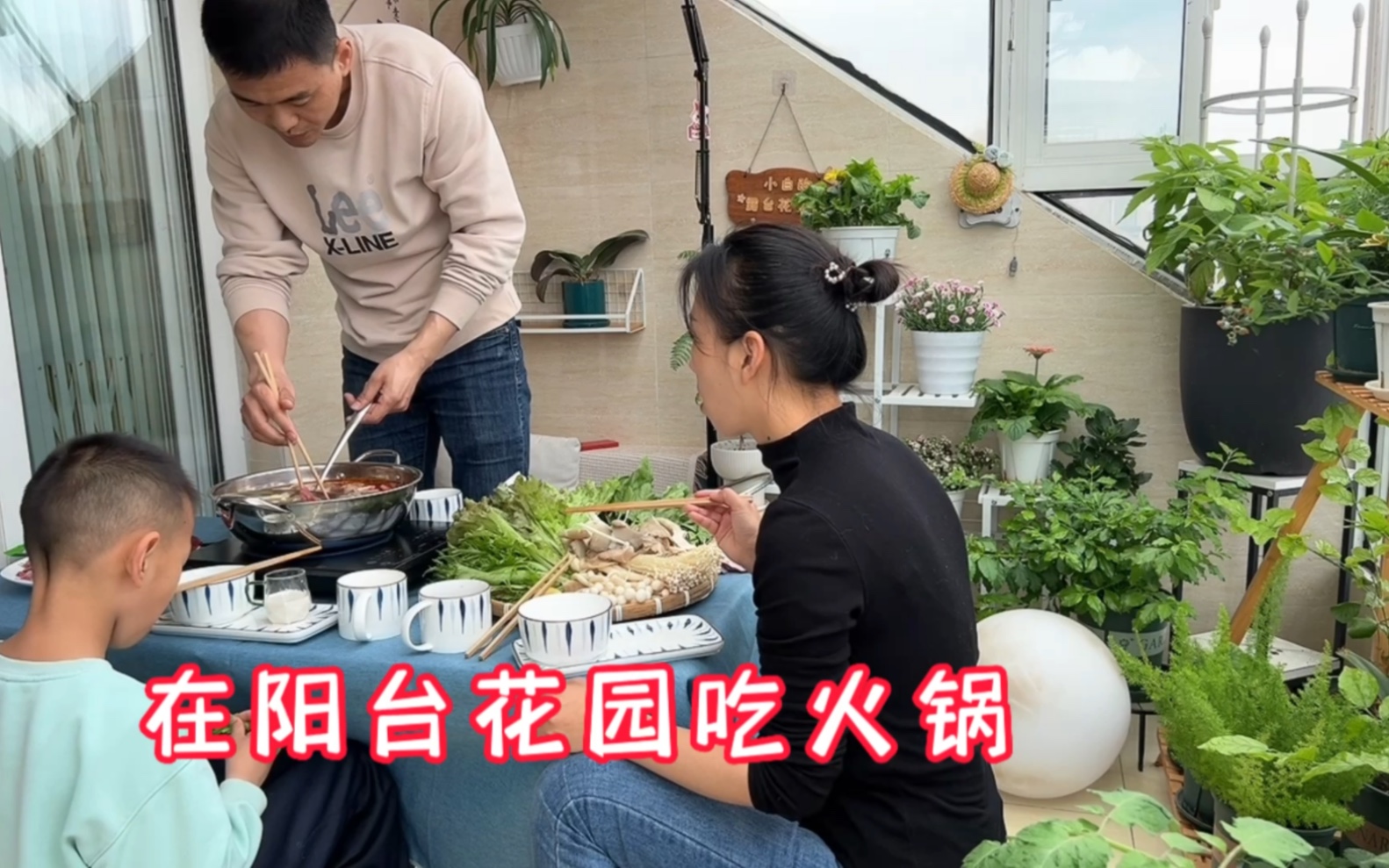 [图]阳台种菜的乐趣，吃火锅只为消耗蔬菜～