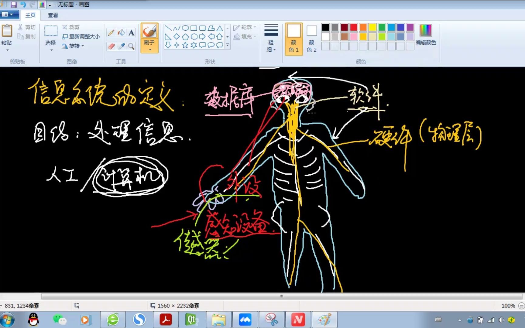 系统 信息系统 信息系统的生命周期 信息化哔哩哔哩bilibili