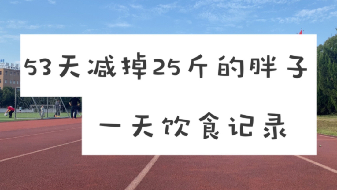 53天减掉25斤的胖子,一天饮食记录.减脂增肌的第一天哔哩哔哩bilibili