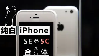 折腾的最高境界 把iphone Se改装成台式机全纪录 哔哩哔哩 Bilibili