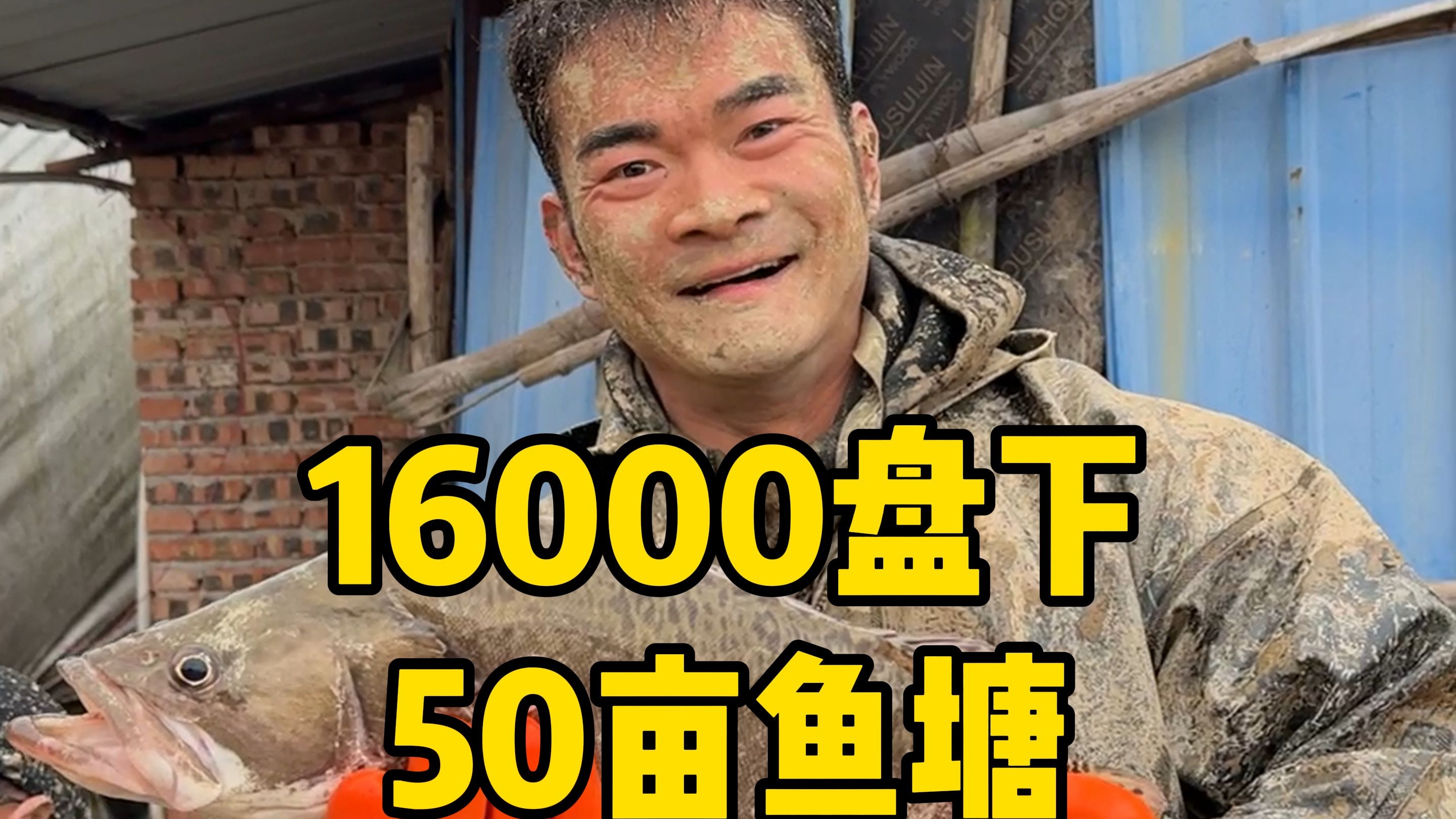 16000盘下50亩鱼塘，塘主一看就是新手，这波总该我赚了吧