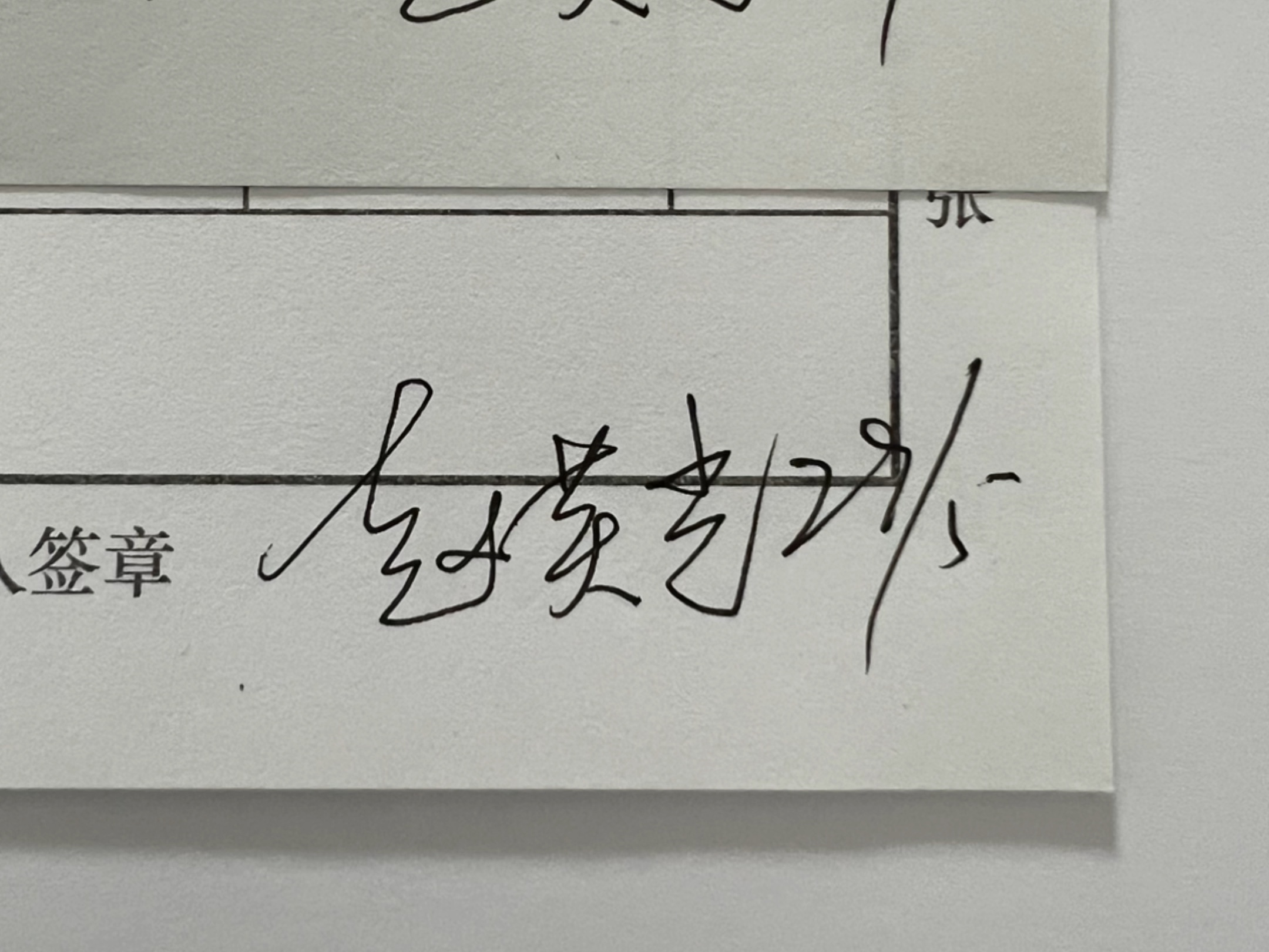 大连模仿签字图片