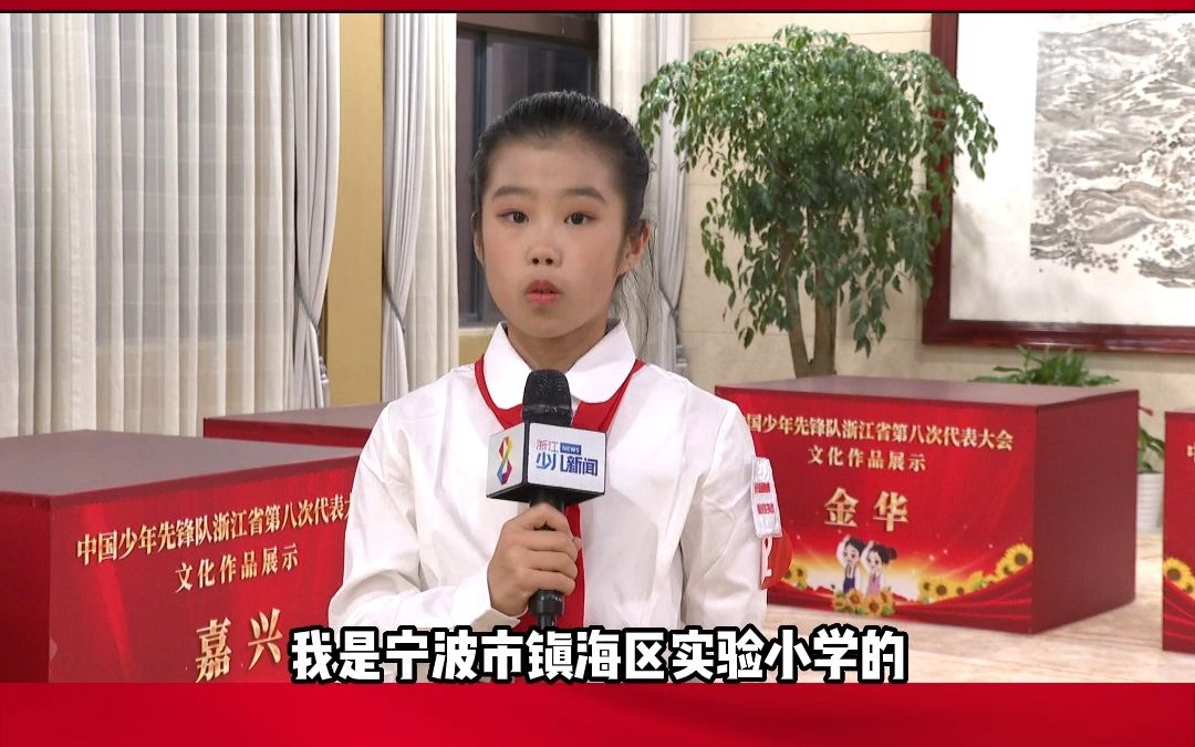 #中国少年先锋队浙江省第八次代表大会,宁波市镇海区实验小学少先队员代表崔恩绪带来提案《从我做起,抵制不良网络文化》哔哩哔哩bilibili