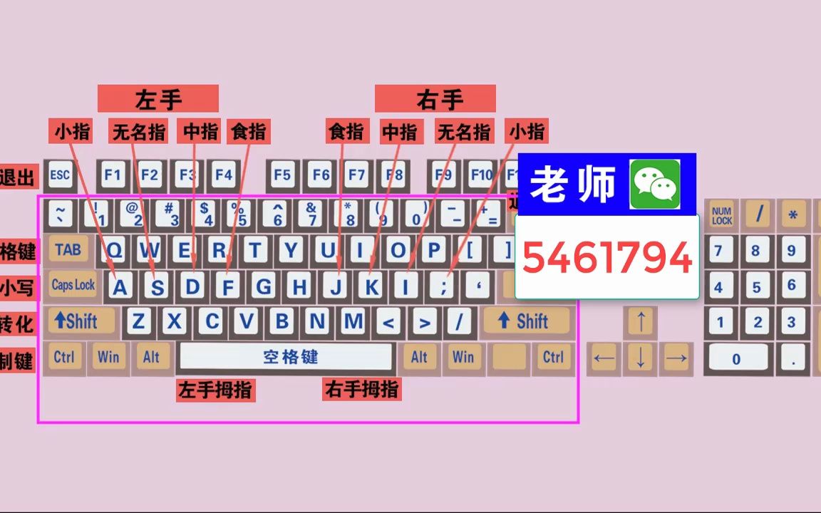 零基礎電腦知識,掌握鍵盤標準指法,打字速度和準確率都可以提高