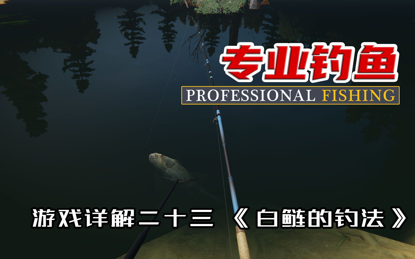 《专业钓鱼》|《Professional fishing》游戏详解二十三 白鲢的钓法哔哩哔哩bilibili