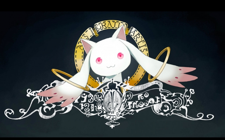 魔法少女小圆 irreversible & variation