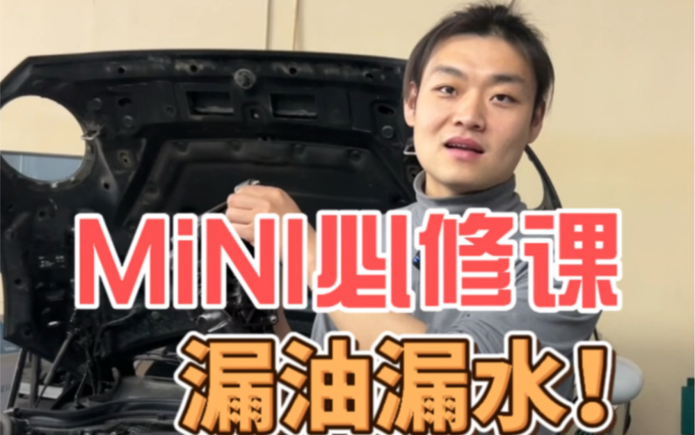 [图]宝马mini F系列必修课之漏油漏水 您的迷你检查了吗？