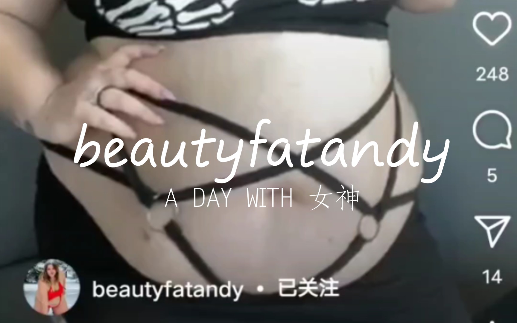 「beautyfatandy」我b姐就是这么性感哔哩哔哩bilibili