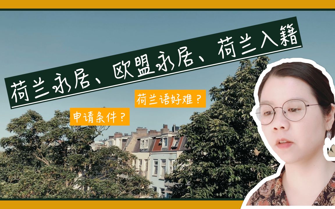 在荷兰工作多久可以拿永居、护照?日常工作生活需不要学习荷兰语|荷兰移民 2020哔哩哔哩bilibili