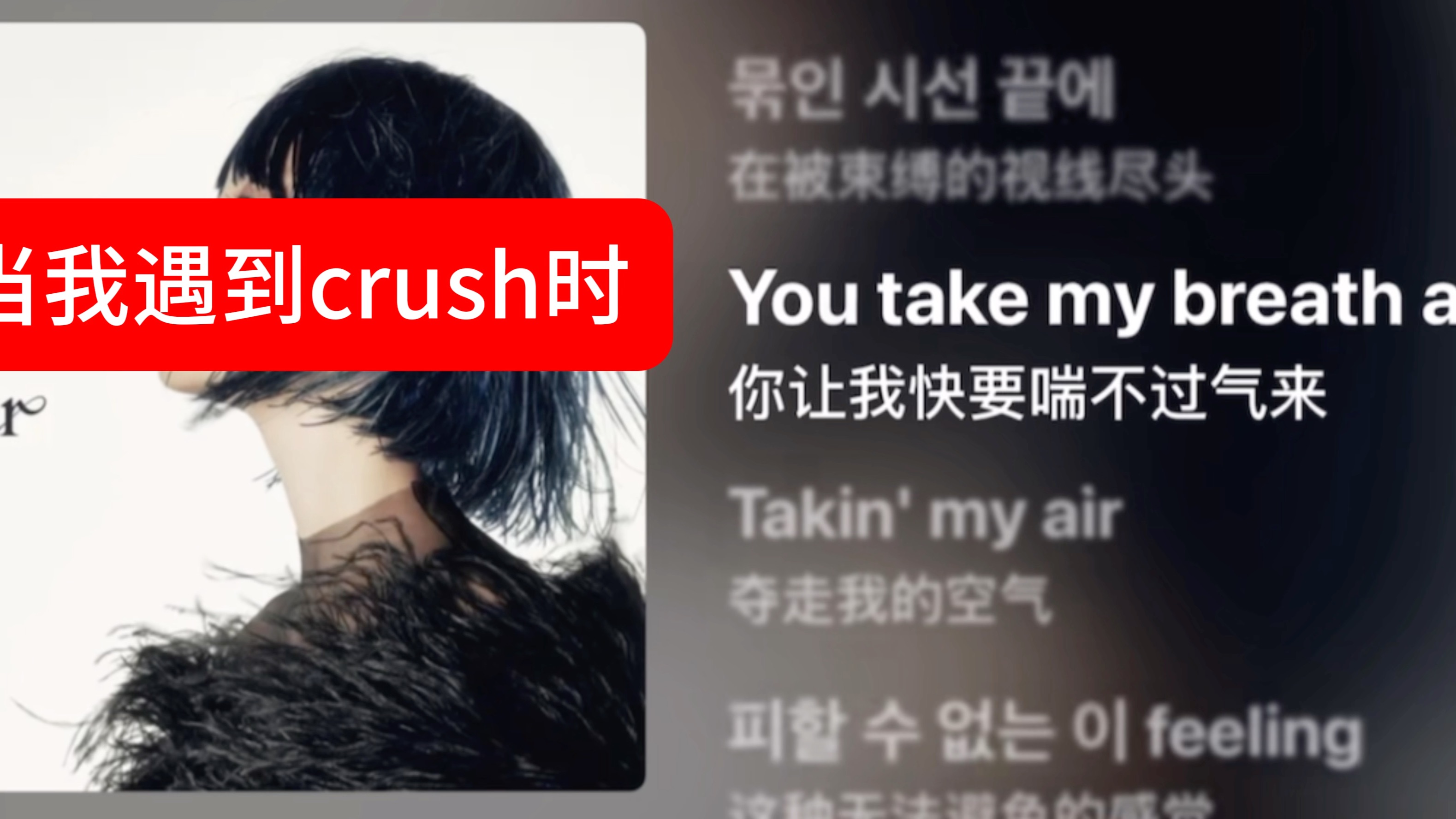 当我遇见crush时