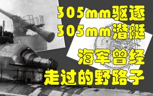 Download Video: 可曾知道305mm口径的驱逐和潜艇？海军曾经走过的野路子