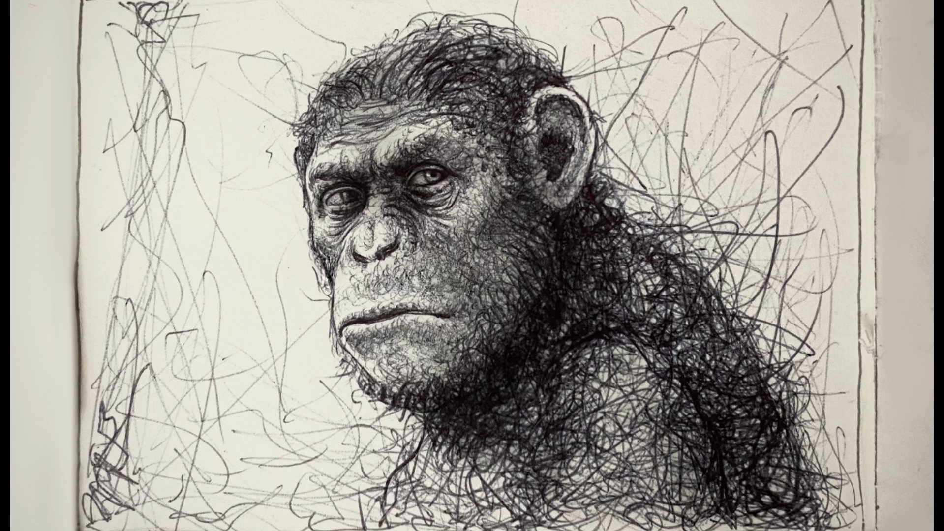 抽象人画抽象画【猩球崛起4】