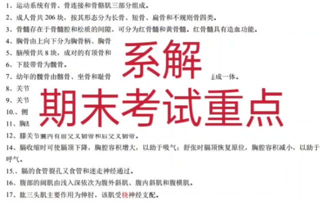 [图]大学系统解剖学期末考试重点，好好背不挂科