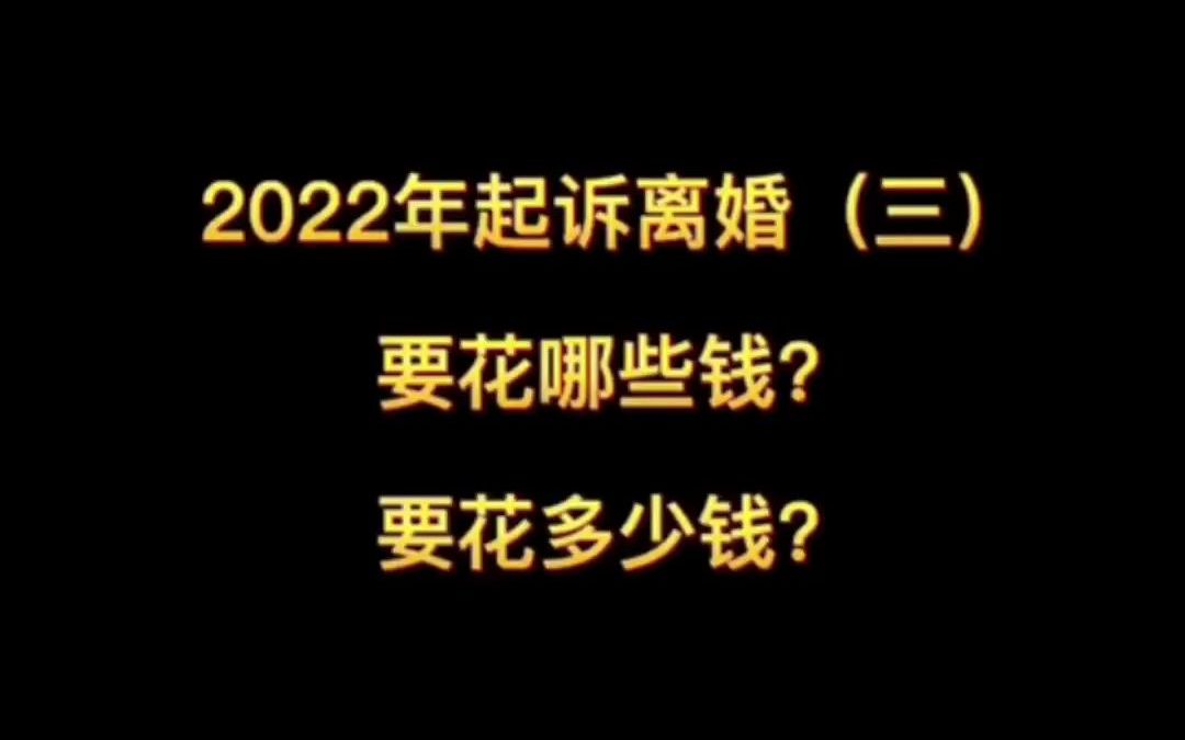 2022年起诉离婚(三),要花哪些钱?要花多少钱?哔哩哔哩bilibili