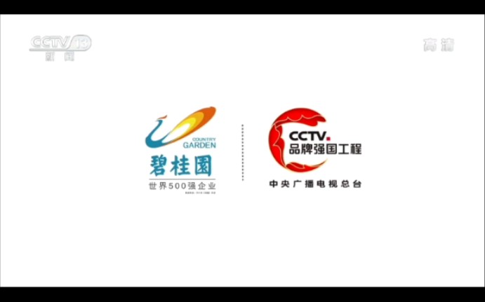 碧桂园广告2021哔哩哔哩bilibili