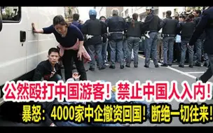 Descargar video: 公然殴打中国游客，禁止中国人入内，暴怒下令反制，4000家中企撤资回国，断绝一切往来，崩了