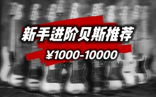 Download Video: 新手入门小白电贝斯怎么选，1000-10000价位主流大牌电贝斯购买推荐，拒绝选择困难症！看看哪款贝斯更适合你？