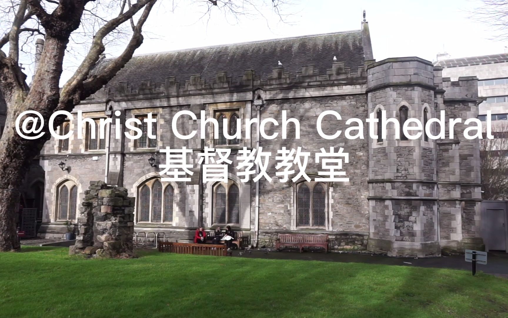 [图]终于听到现场版教堂管风琴演奏和唱诗了@Christ Church Cathedral