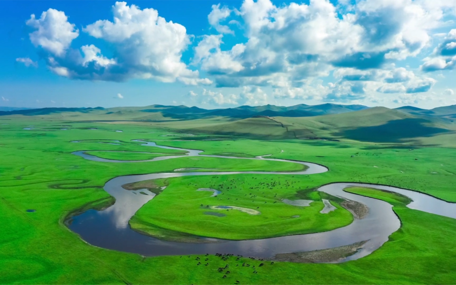 呼伦贝尔春天打开方式